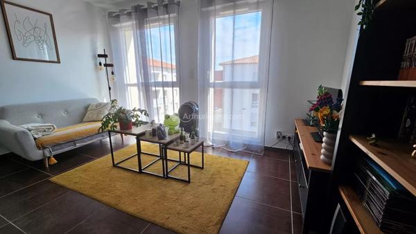 Location Appartement 1 pièces 27 m2 à Albi