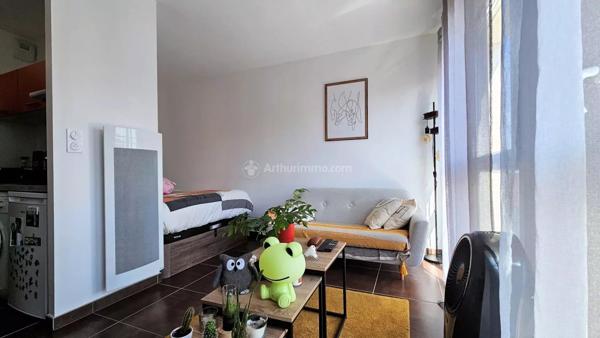 Location Appartement 1 pièces 27 m2 à Albi
