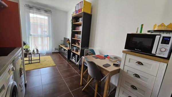 Location Appartement 1 pièces 27 m2 à Albi
