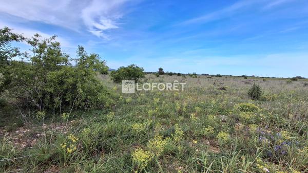 Achat terrain Claira - 10870 m² - 24 000 €