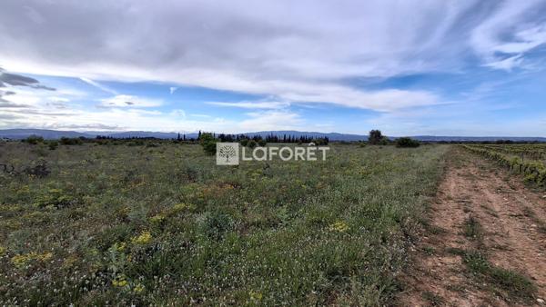Achat terrain Claira - 10870 m² - 24 000 €