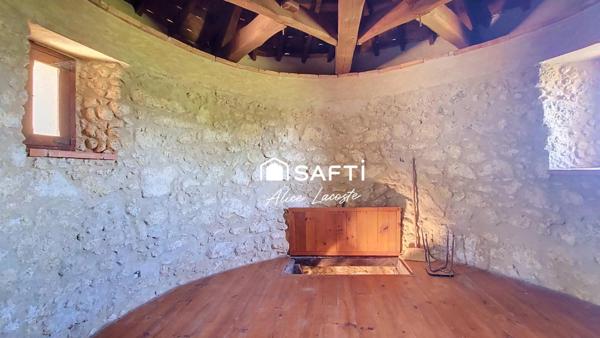 Moulin, vignes et vue Pyrénées à 360°