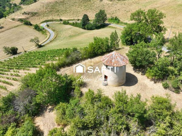 Moulin, vignes et vue Pyrénées à 360°