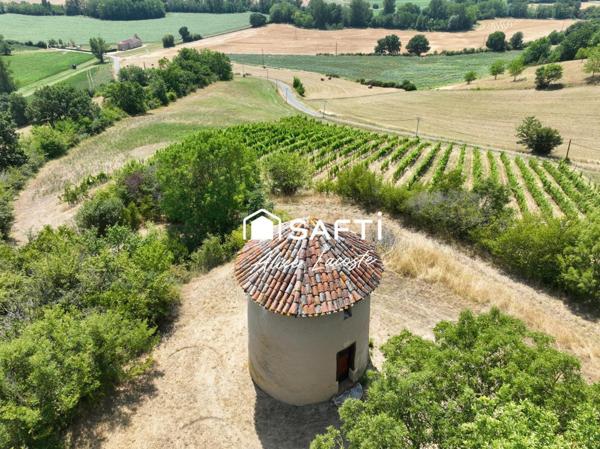 Moulin, vignes et vue Pyrénées à 360°