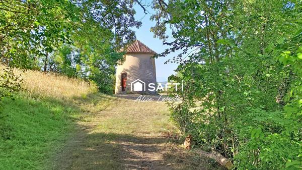 Moulin, vignes et vue Pyrénées à 360°