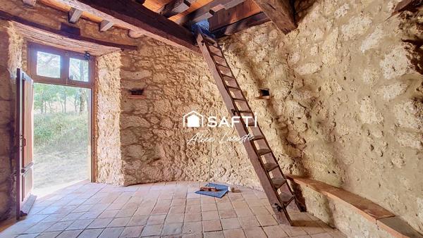 Moulin, vignes et vue Pyrénées à 360°