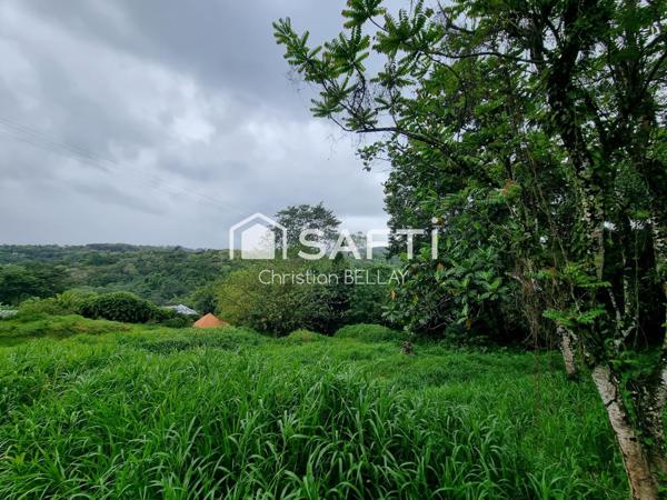 Terrain à bâtir – au calme – Lamentin