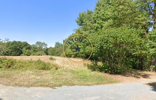 Terrain constructible Juigné-sur-Loire