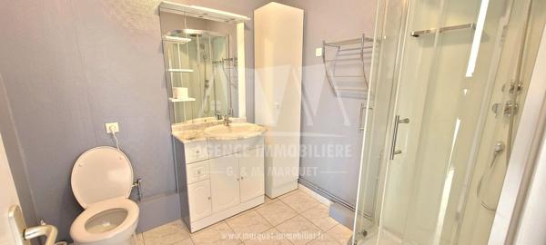 MAISON DE PLAIN-PIED - VIBRAC ENTRE ANGOULEME ET COGNAC - COUR ET EMPLACEMENT POUR VEHICULE