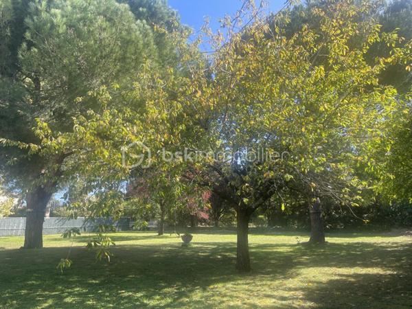 Terrain de 991 m²
