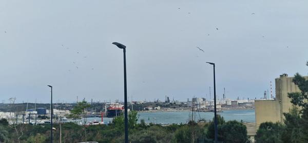 RESIDENCE RECENTE SECURISEE, T4 DOUBLE BOX!