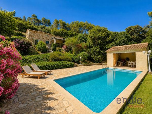 Authentique Mas en pierre avec piscine - Calme absolu.