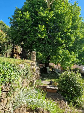 ancien moulin en pierre avec garage et jardin
