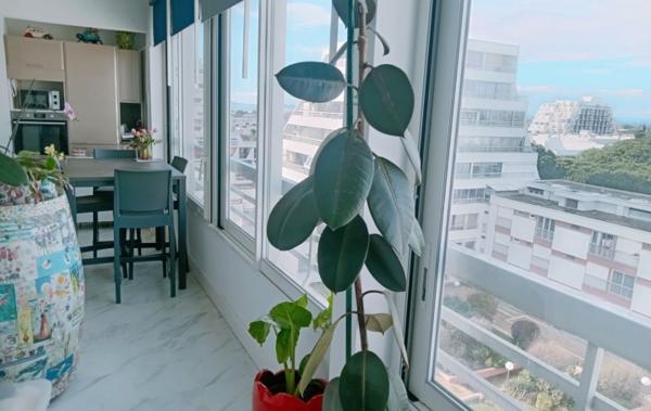 Vente Appartement P2 rénové(e) La grande-motte