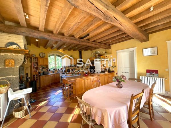 Magnifique Château rénové avec gîte et piscine