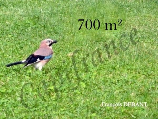 Terrain à vendre PONTFAVERGER MORONVILLIERS (51)