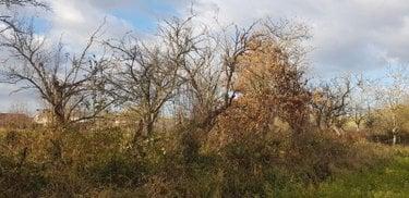 Terrain de loisirs - Bois - Etang à vendre à Rethel dans les Ardennes (08300), ref : 10315/415