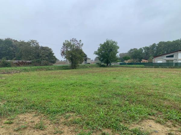 SERRES-CASTET (PAU-64) - 3 146 m² - Terrain constructible à vendre.
