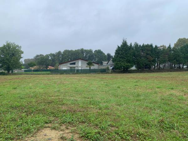 SERRES-CASTET (PAU-64) - 3 146 m² - Terrain constructible à vendre.