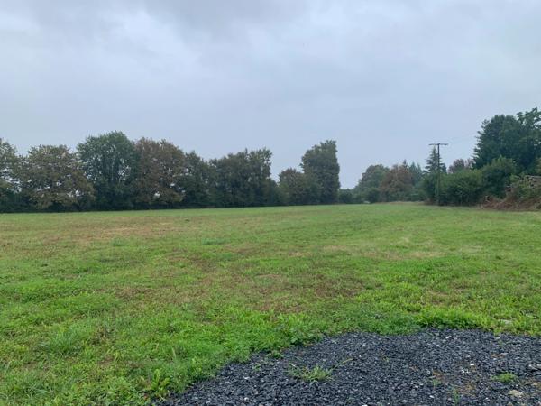SERRES-CASTET (PAU-64) - 3 146 m² - Terrain constructible à vendre.