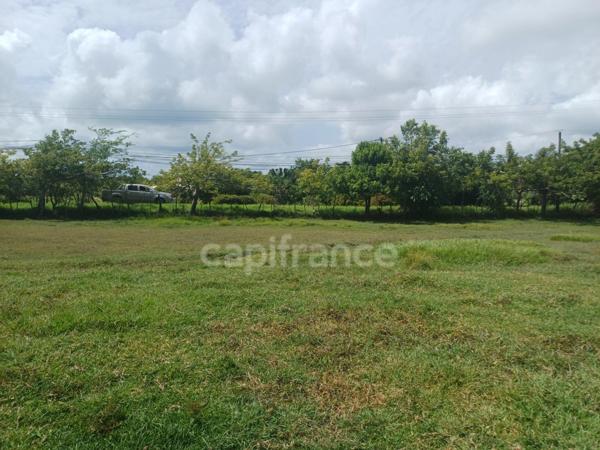 Terrain à vendre de 1 000,00 m² PETIT CANAL (971)