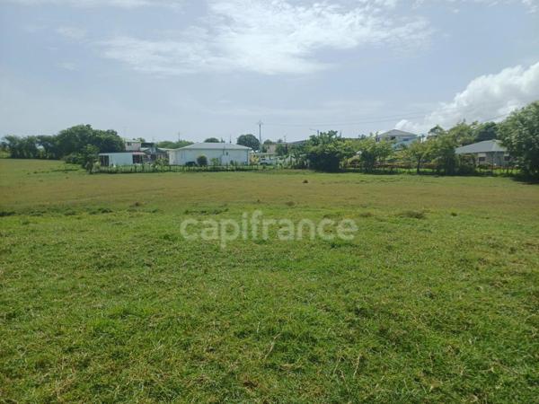 Terrain à vendre de 1 000,00 m² PETIT CANAL (971)