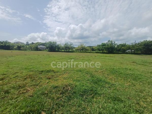 Terrain à vendre de 1 000,00 m² PETIT CANAL (971)
