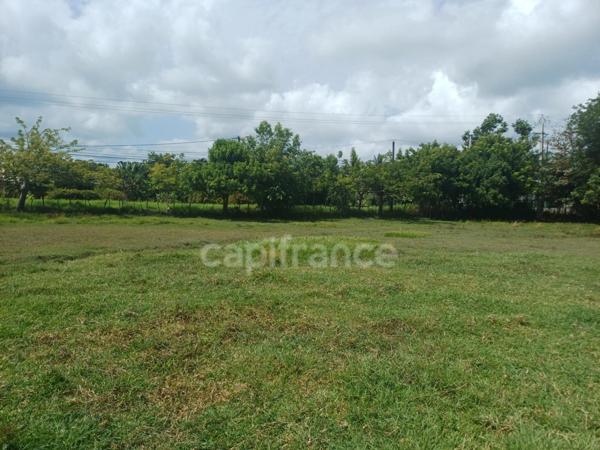 Terrain à vendre de 1 000,00 m² PETIT CANAL (971)