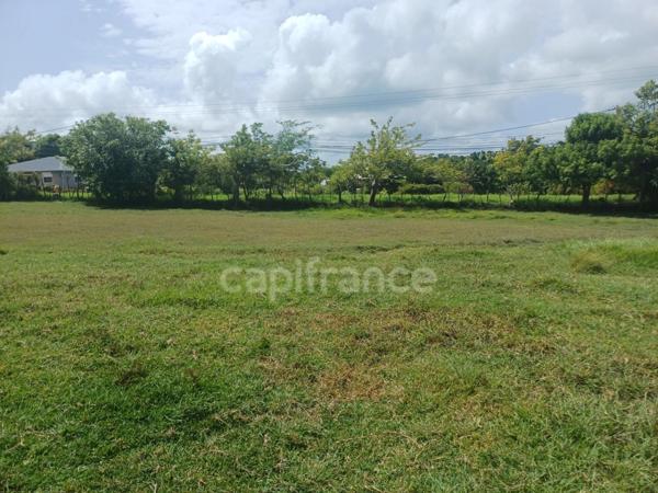 Terrain à vendre de 1 000,00 m² PETIT CANAL (971)