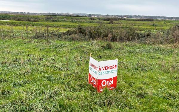 Terrain à vendre    Talmont-Saint-Hilaire