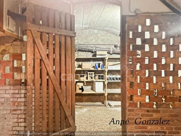 ORLEANS Carré OR, à vendre grande Maison Bourgeoise entièrement rénovée par Architecte d'intérieur avec patio intérieur et jacuzzi à l'abri des regards