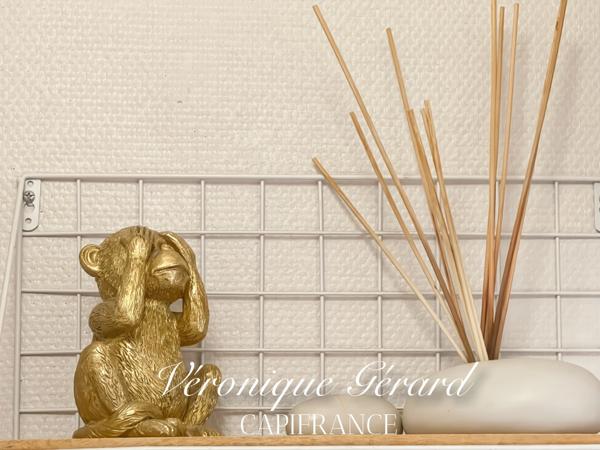 IDEAL Famille ou Investisseurs Maison en Pierre avec cours, jardin et grange