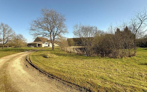 Maison à vendre    5 pièces •  Chabris