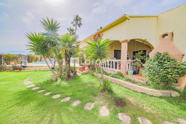 Achat maison Borgo - 7 pièce(s) - 200 m² - 759 000 €