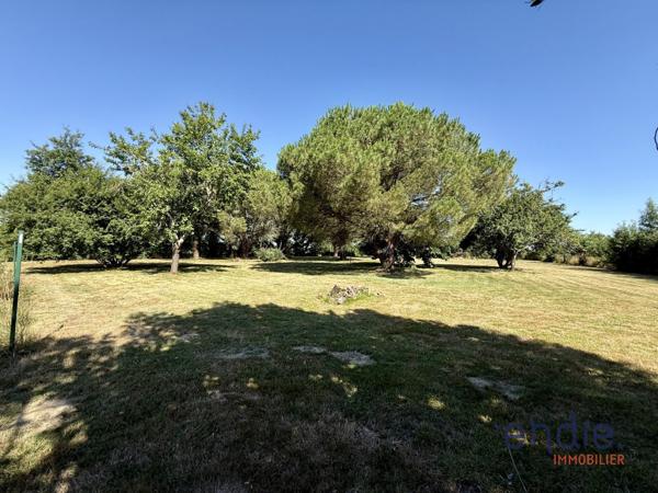 EXCLUSIVITE - MAISON 145 m2 avec piscine sur 6835 m2 de terrain - GRENADE (31330)