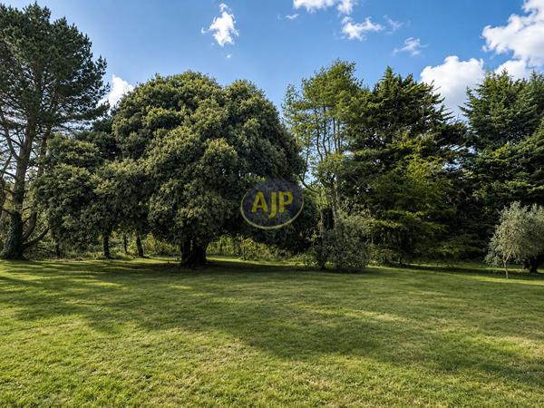 Biens de prestige à vendre La Turballe : 447 000 € - AJP Immobilier Nantes Jouzel