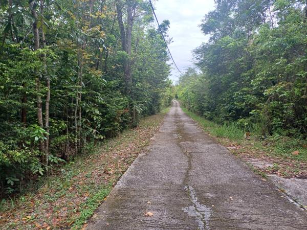 Terrain à vendre de 1050 DESHAIES (971)