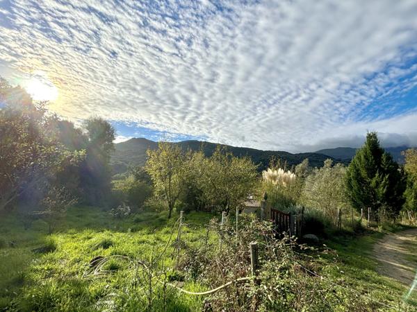 TERRAIN CONSTRUCTIBLE 800M2 - FORCIOLO  Forciolo (20190)