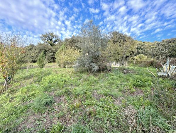 TERRAIN CONSTRUCTIBLE 800M2 - FORCIOLO  Forciolo (20190)