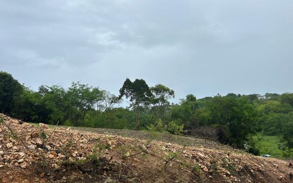 Terrain à vendre    Le Moule