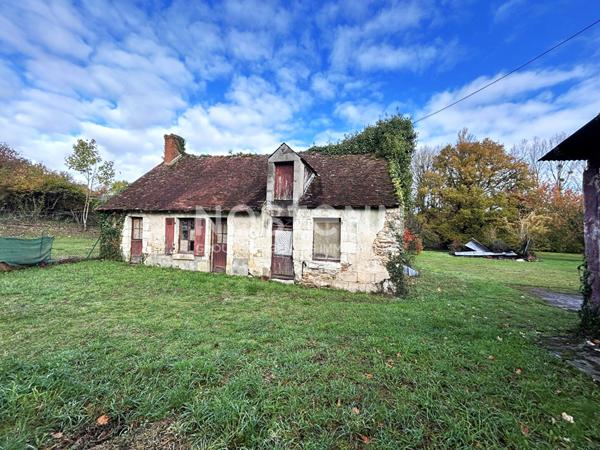 MAISON 4 CHAMBRES PROCHE ECUEILLE AVEC DÉPENDANCES ET TERRAIN AVEC ACCES À UNE RIVIERE? PREAUX (36)