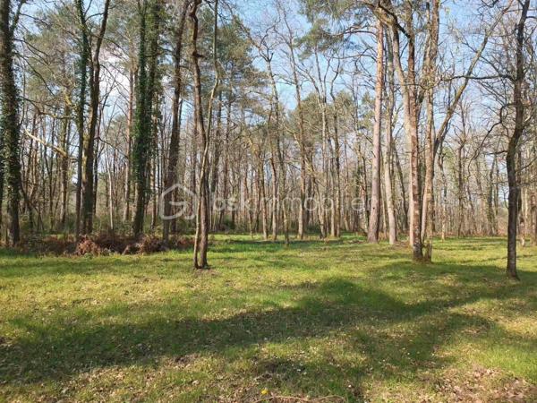 Vous rêvez de calme ?

Situé en zone naturelle au milieu des bois.
Grand terrain de 13ha70 comprenant pour moitié des bois, un étang d'1ha30 , un chalet habitable de 72m2 , un appentis, le tout clôturé.
Le chalet se compose d'une grande pièce de vie de 45m2 avec cuisine ouverte. De trois chambres de 9m2 , d'une salle de bain et d'un wc séparé.
Au sous-sol, un garage de 25m2 , d'un local technique, et une cave.

Point(s) Techniques : 
- Assainissement individuel non conforme.
- Présence d'une compteur eau
- Autonomie pour l'électricité via panneaux solaires et batteries de stockage.
