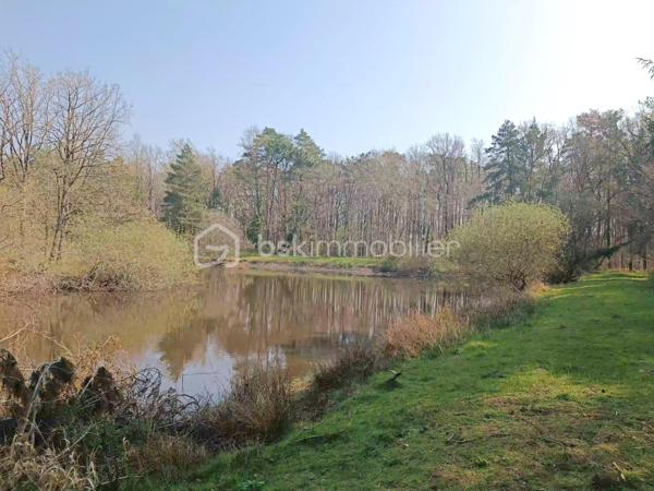 Vous rêvez de calme ?

Situé en zone naturelle au milieu des bois.
Grand terrain de 13ha70 comprenant pour moitié des bois, un étang d'1ha30 , un chalet habitable de 72m2 , un appentis, le tout clôturé.
Le chalet se compose d'une grande pièce de vie de 45m2 avec cuisine ouverte. De trois chambres de 9m2 , d'une salle de bain et d'un wc séparé.
Au sous-sol, un garage de 25m2 , d'un local technique, et une cave.

Point(s) Techniques : 
- Assainissement individuel non conforme.
- Présence d'une compteur eau
- Autonomie pour l'électricité via panneaux solaires et batteries de stockage.