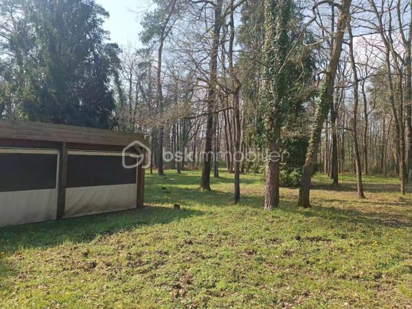 Vous rêvez de calme ?

Situé en zone naturelle au milieu des bois.
Grand terrain de 13ha70 comprenant pour moitié des bois, un étang d'1ha30 , un chalet habitable de 72m2 , un appentis, le tout clôturé.
Le chalet se compose d'une grande pièce de vie de 45m2 avec cuisine ouverte. De trois chambres de 9m2 , d'une salle de bain et d'un wc séparé.
Au sous-sol, un garage de 25m2 , d'un local technique, et une cave.

Point(s) Techniques : 
- Assainissement individuel non conforme.
- Présence d'une compteur eau
- Autonomie pour l'électricité via panneaux solaires et batteries de stockage.