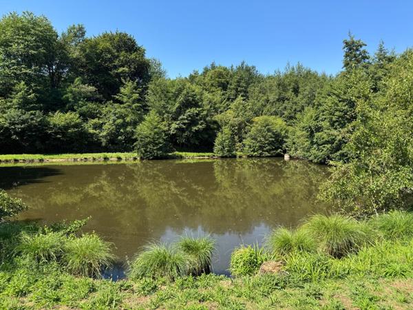 Étang aux normes , il n'y a plus qu'à !