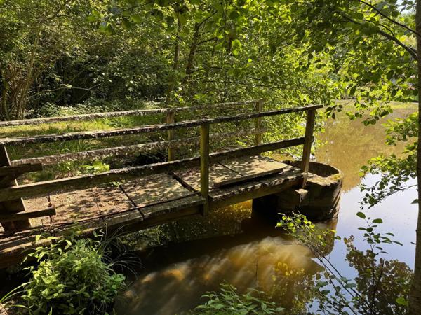 Étang aux normes , il n'y a plus qu'à !