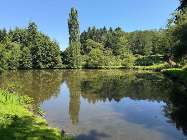 Étang aux normes , il n'y a plus qu'à !