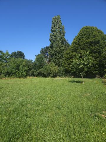 Terrain à BIACHES (80200)