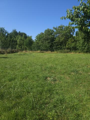 Terrain à BIACHES (80200)