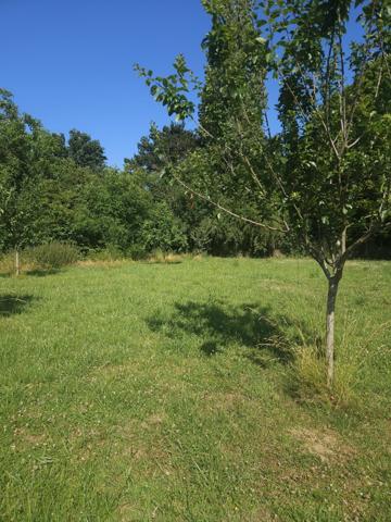 Terrain à BIACHES (80200)